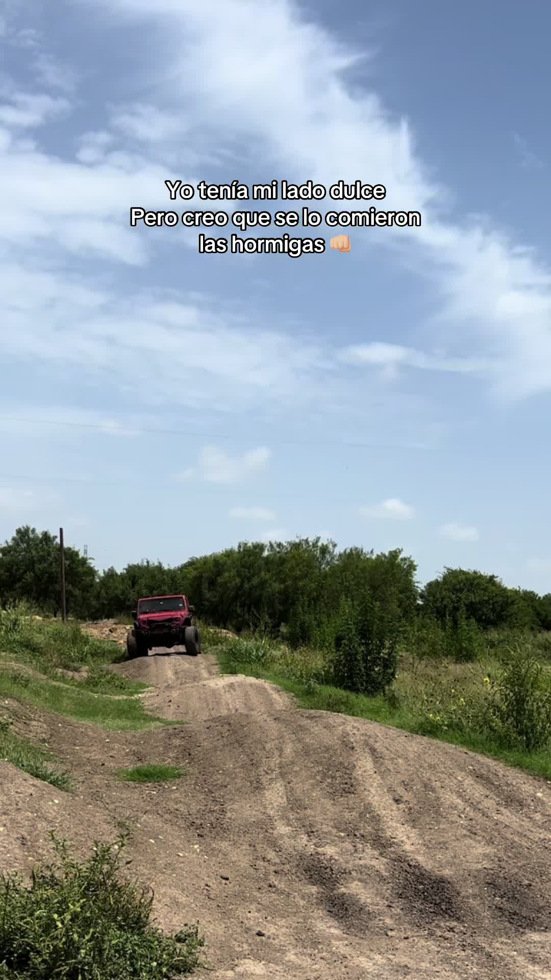 @LiliATX 🌵