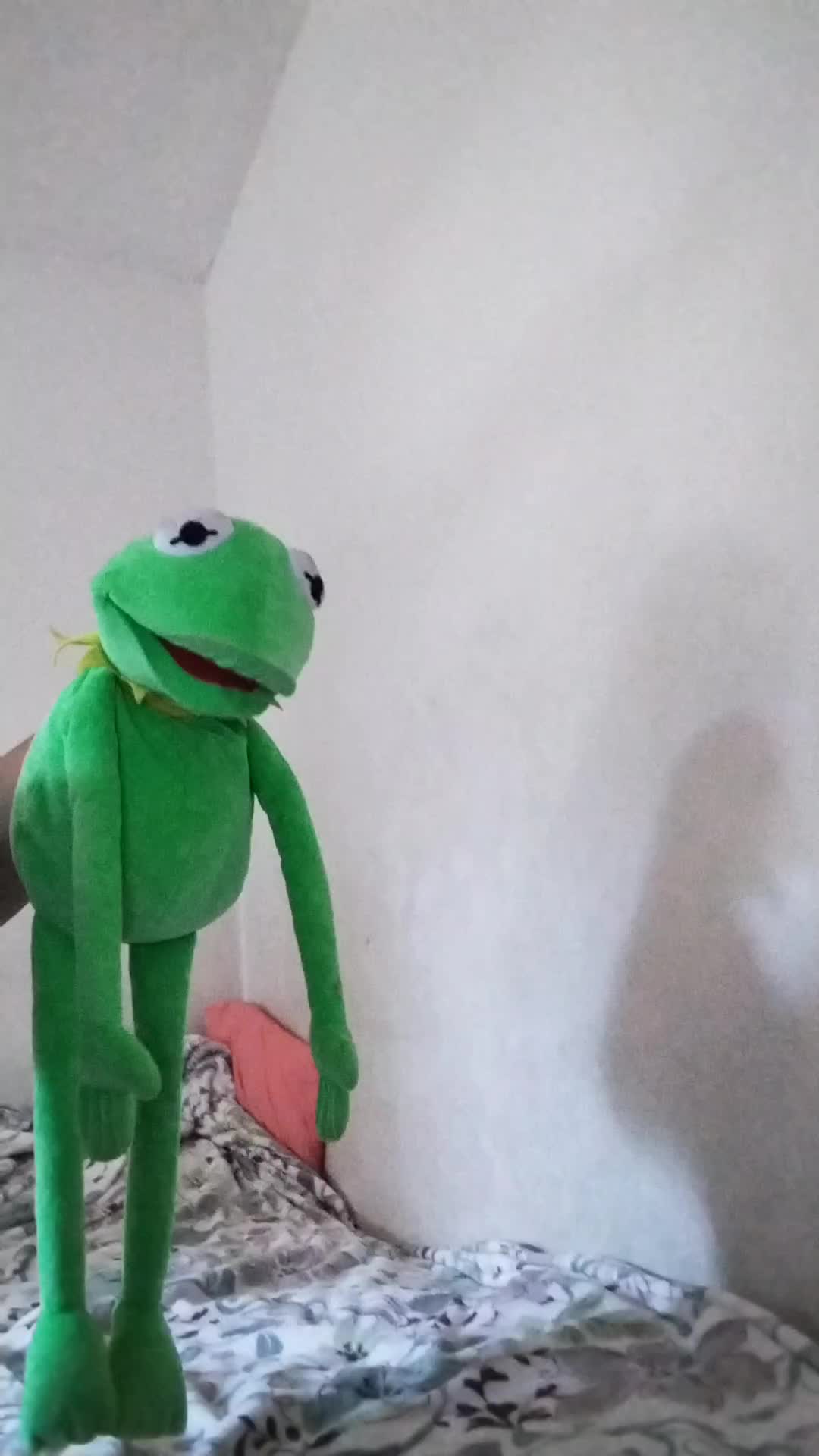 @Kermit And Friends 2026