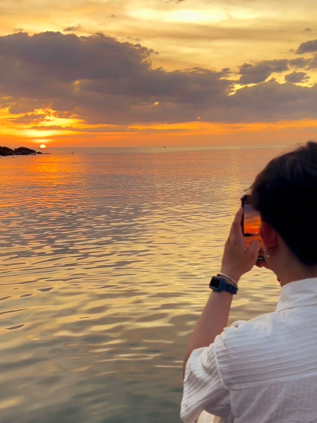 @น้องนิวมีชิวาว้าชื่อคิวซี