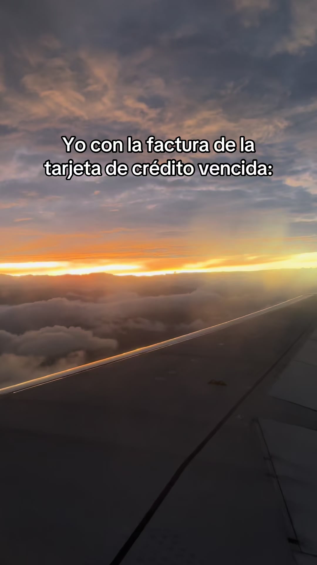 @Daniela Rojas