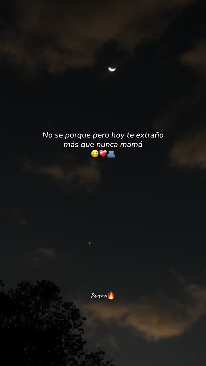 @☀️⚡Pereira🔥&hearts;️🪄