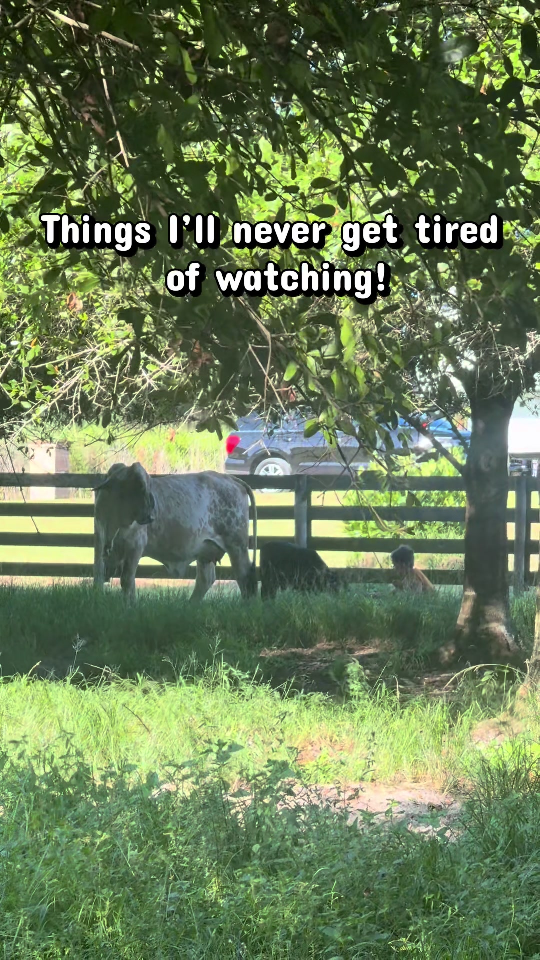 @TheFunnyFarmMom