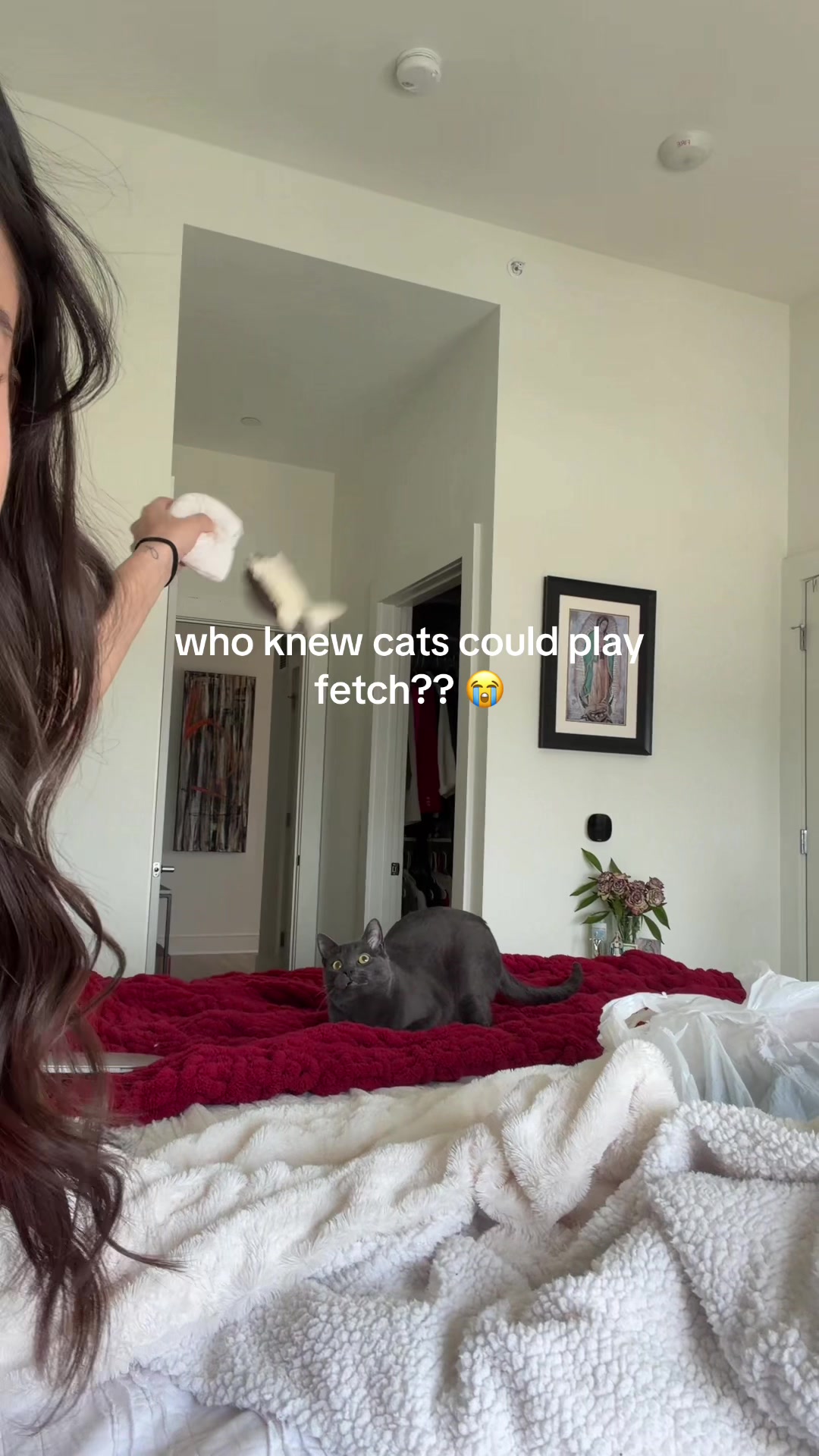 @SOPHIA