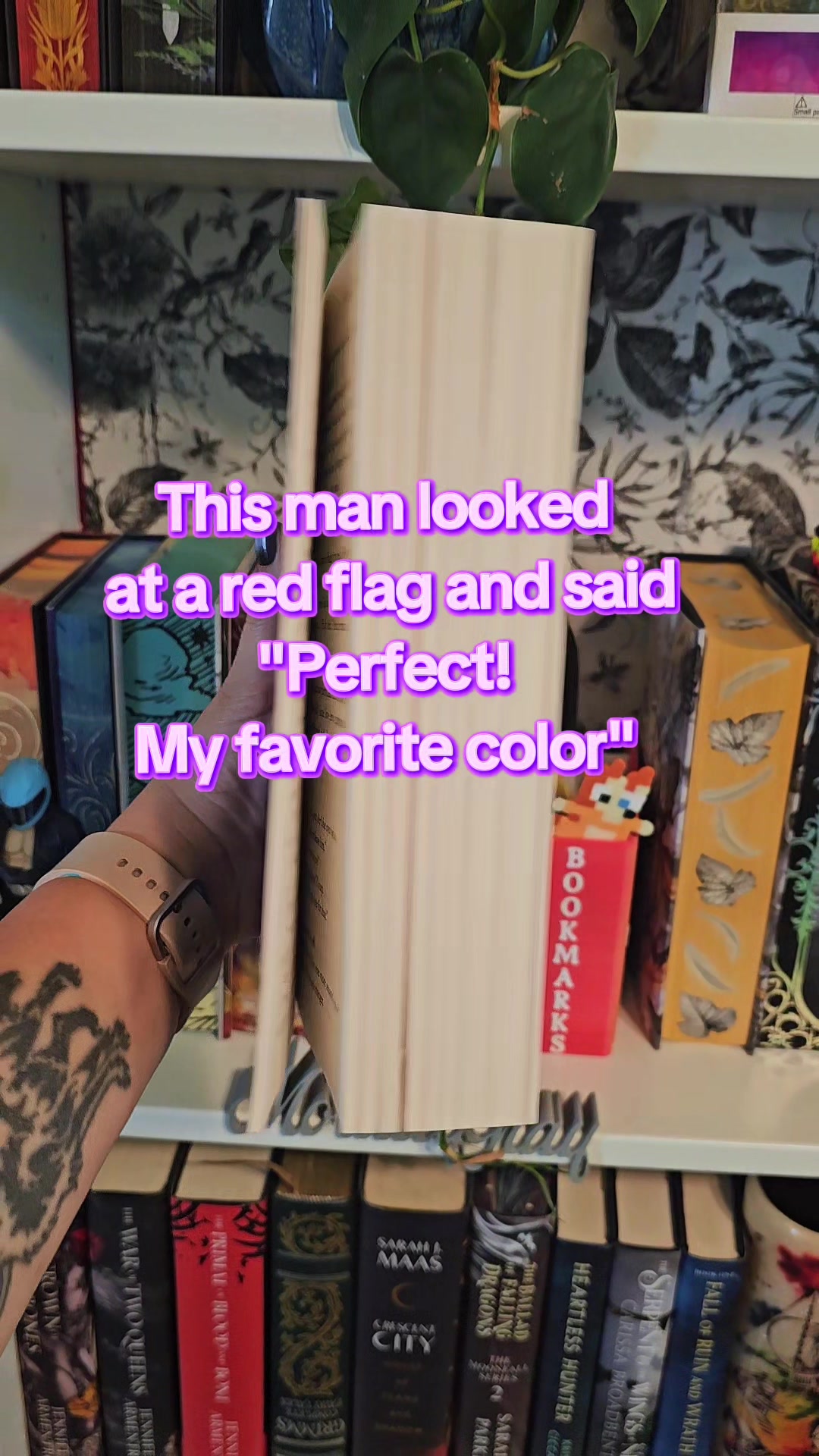 @TheWolfWithTheBooks