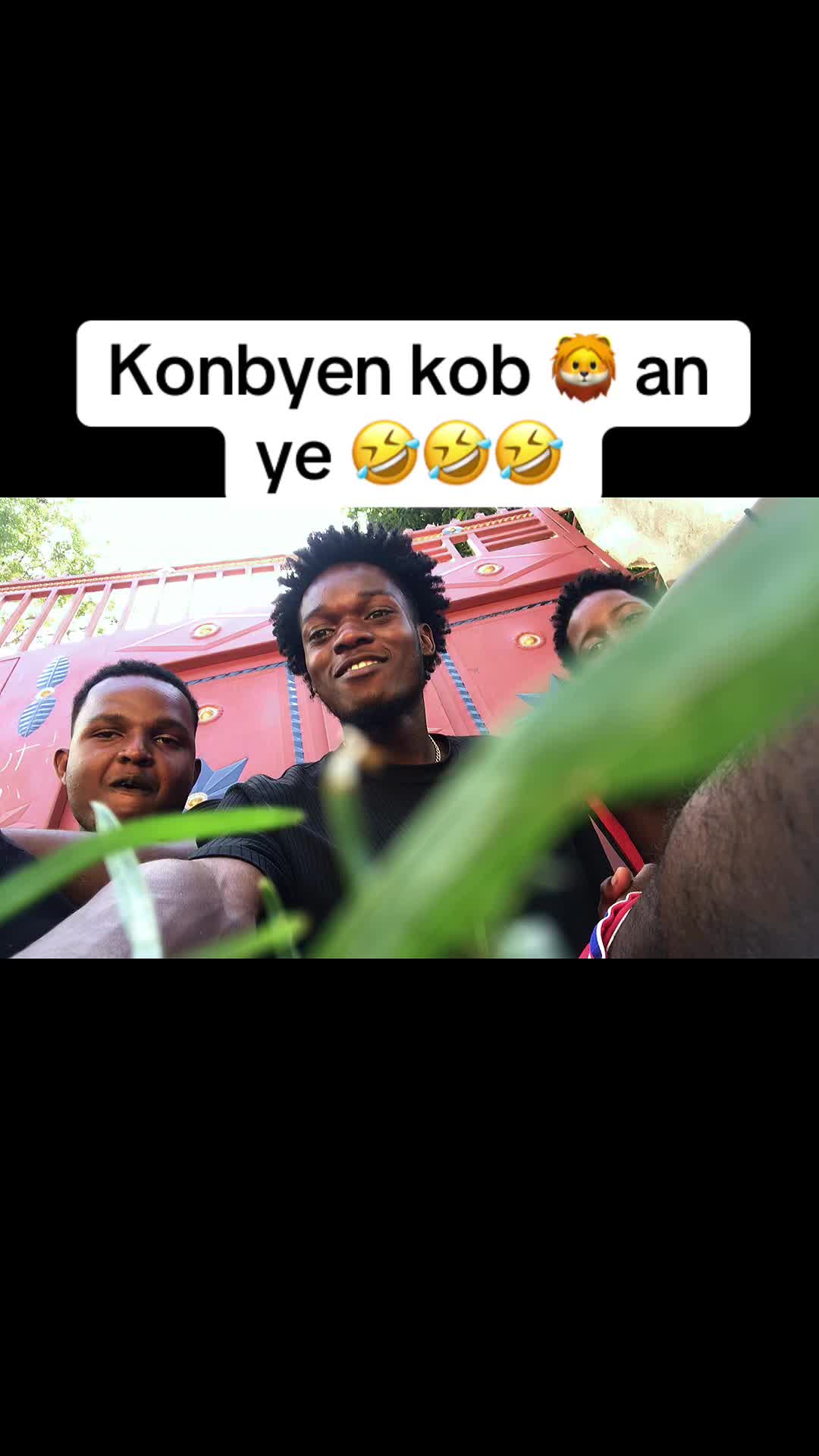 @baky