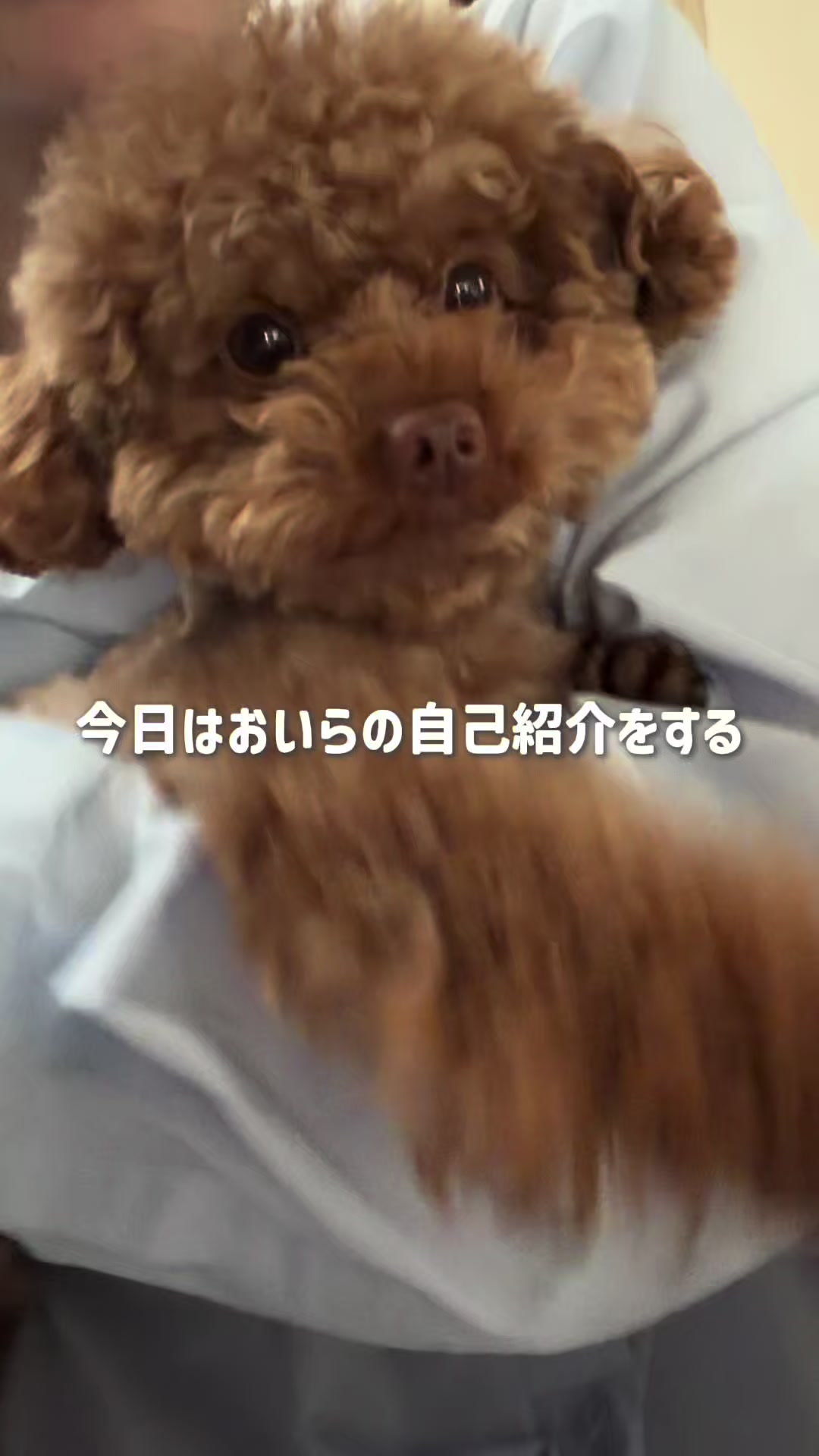 @るるもも