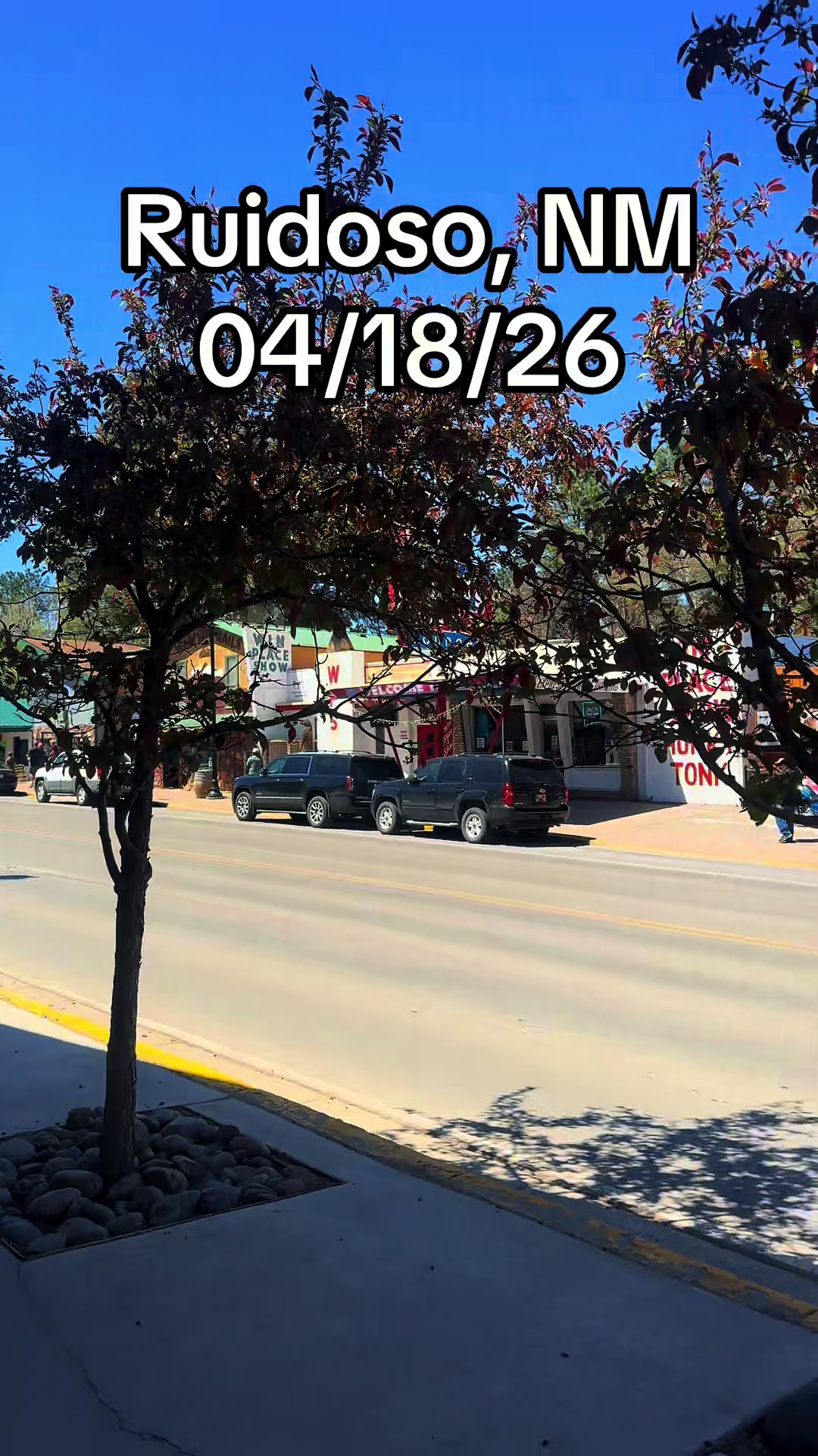 @Mirissa Good Ruidoso Realtor