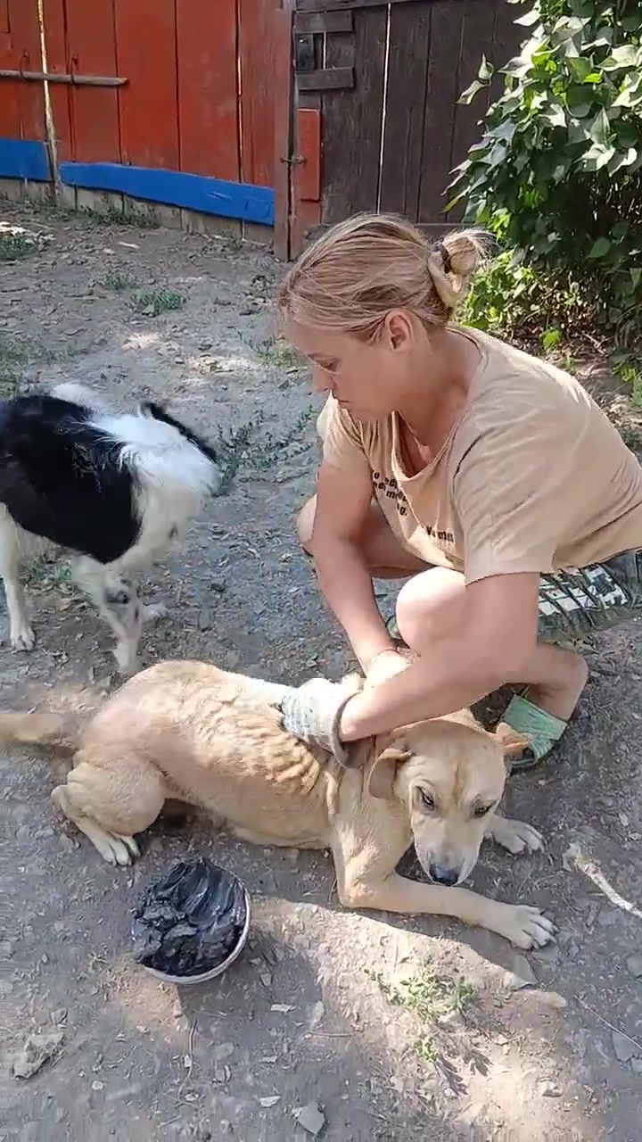 @Семейный Хуторок