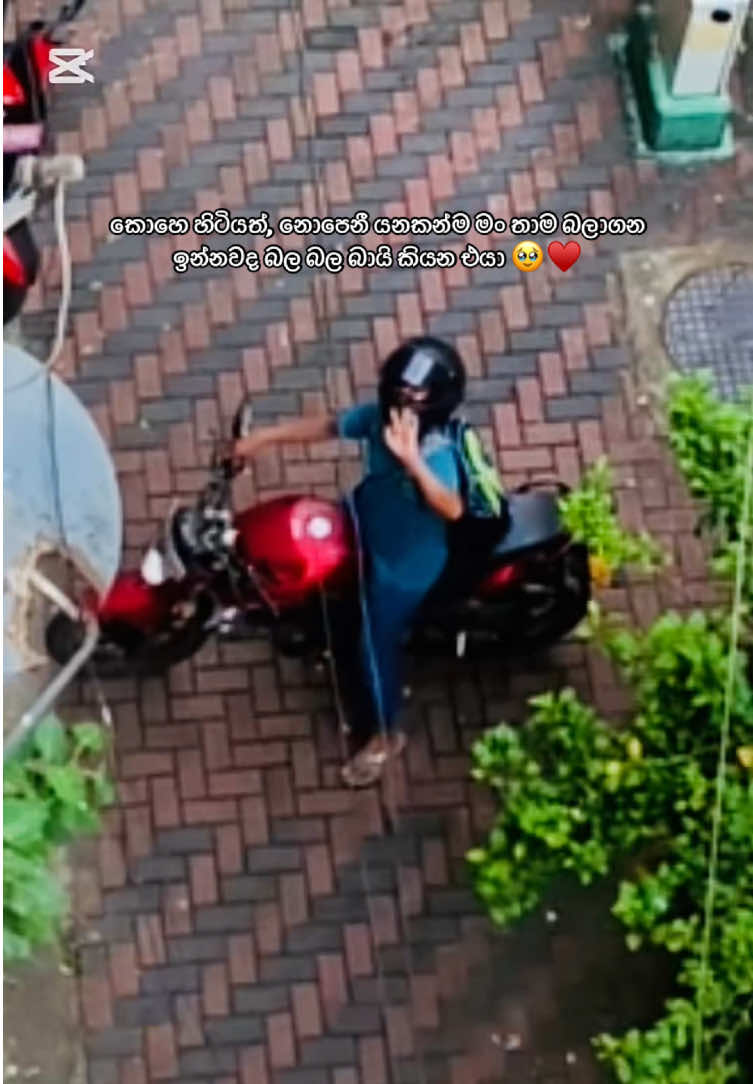 @Ruwini Liyanage