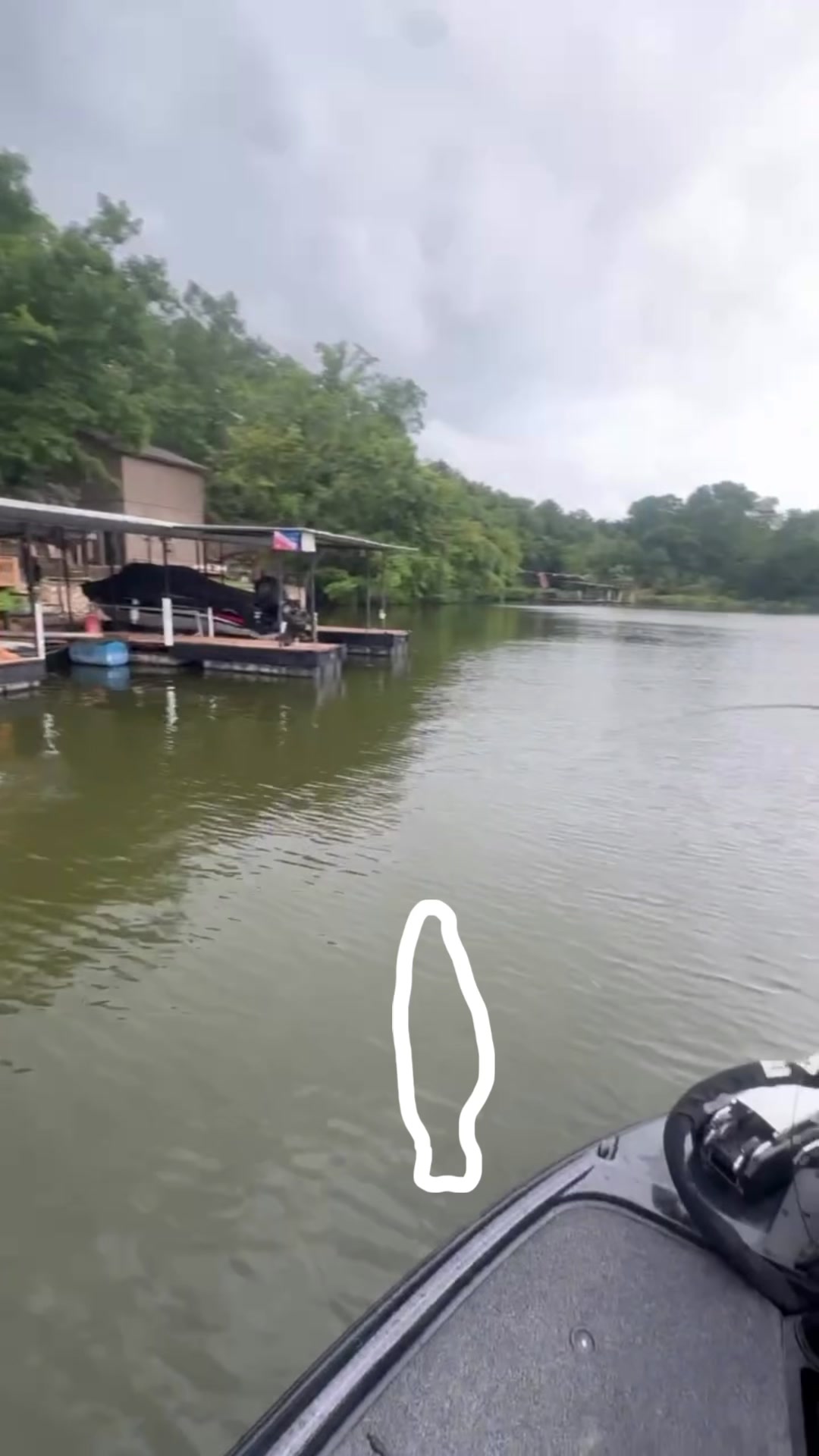 @Motion Fishing