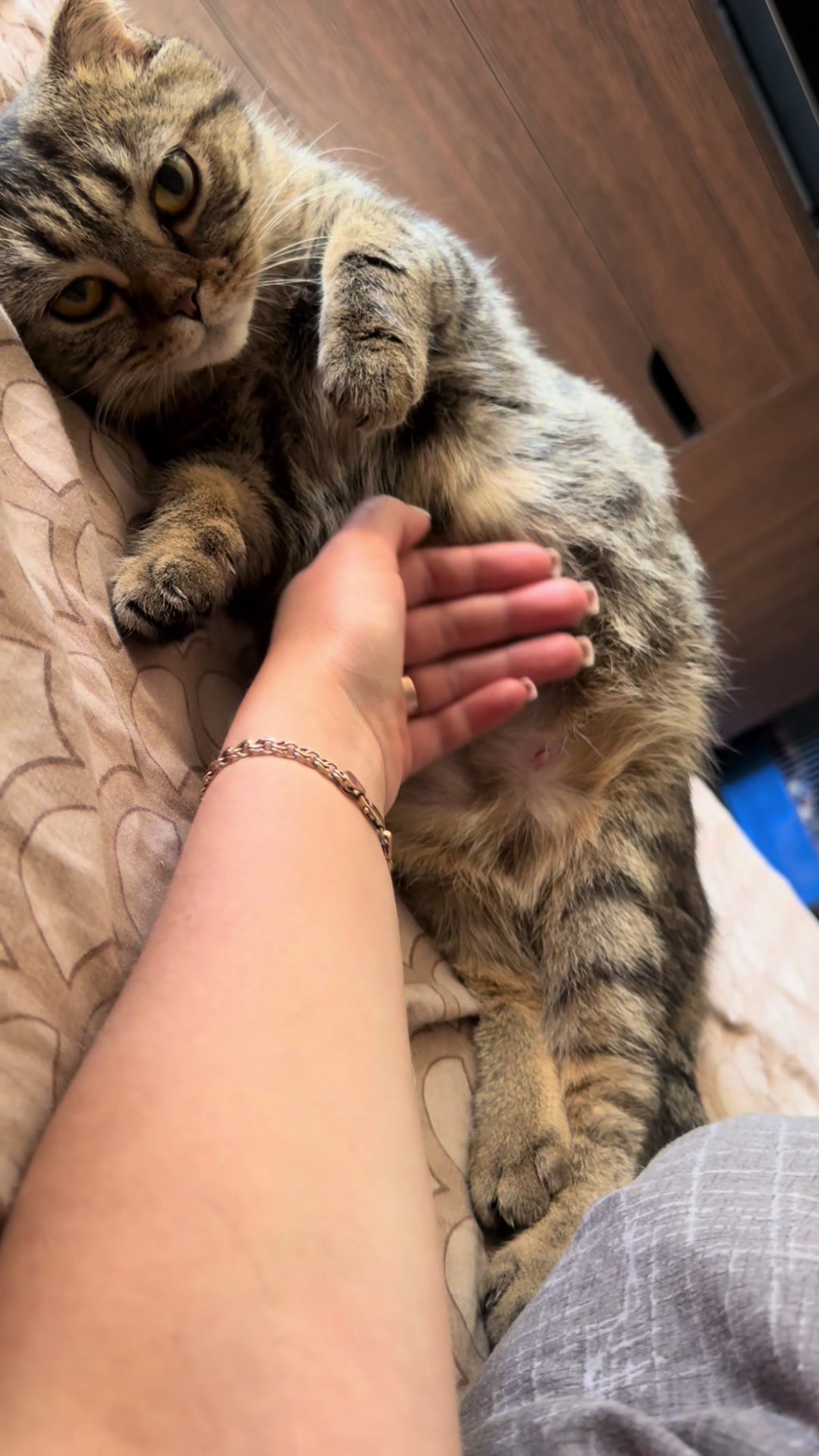 @Дана