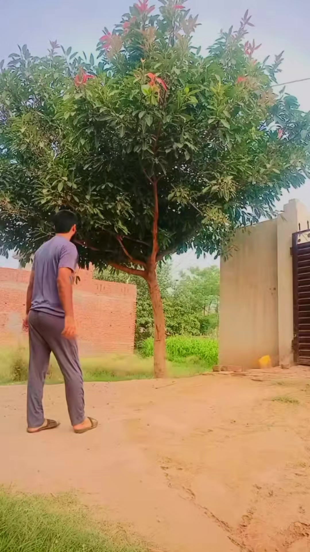 @Mr X 🇸🇦 🌈 🇵🇰