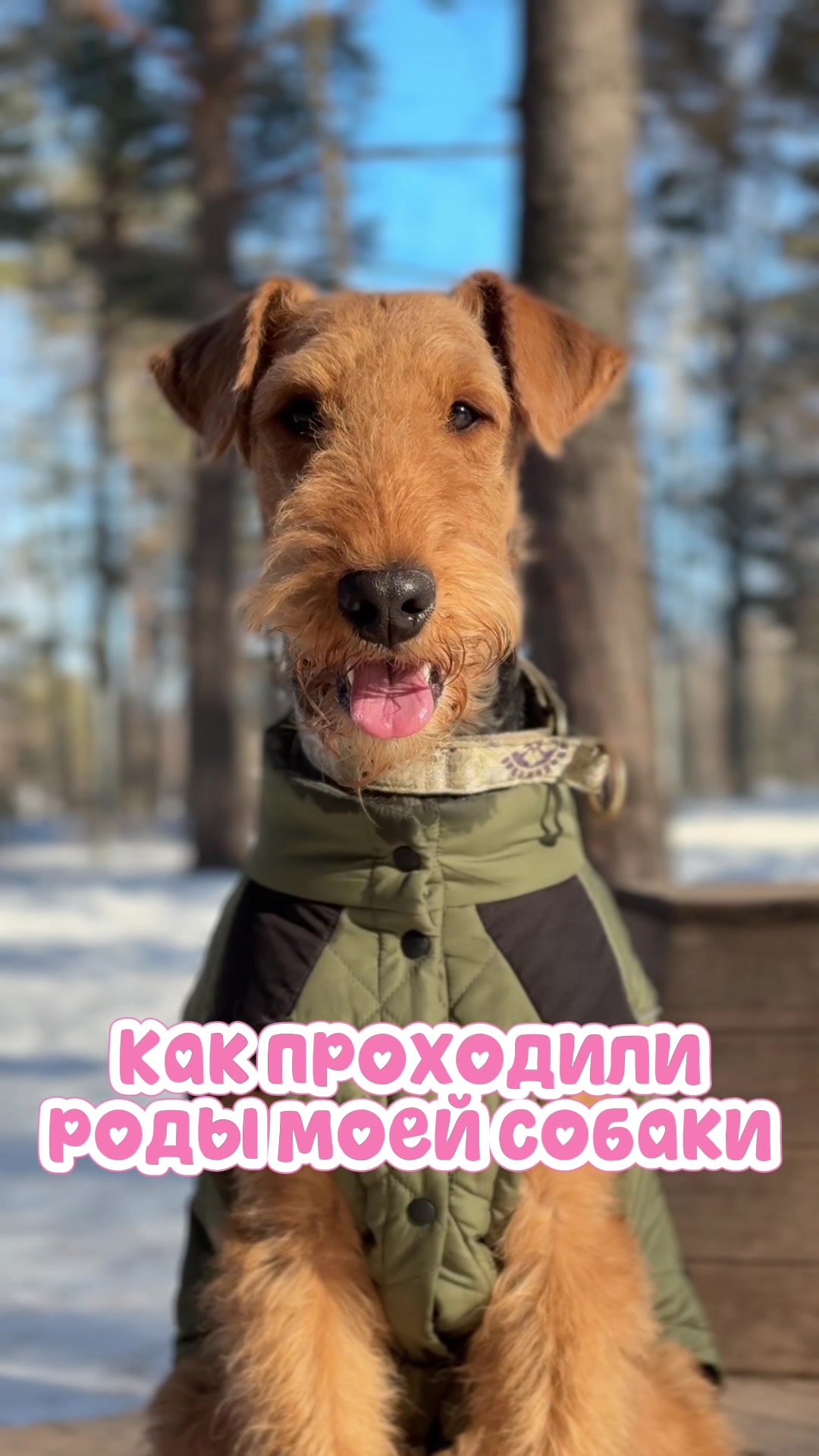 @alaskaa