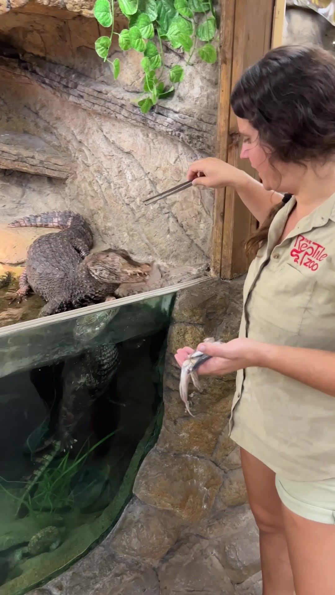 @The Reptile Zoo