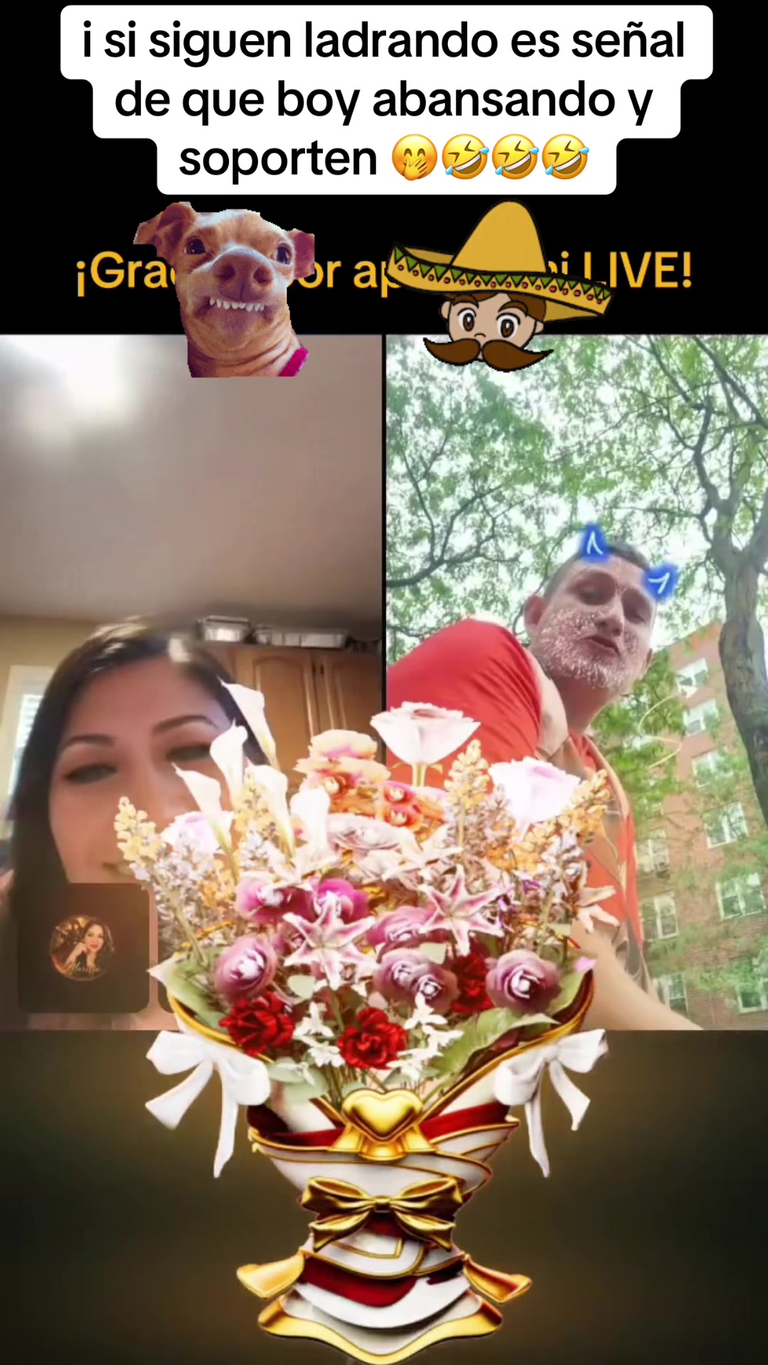 @ð¡ê§ðŠð¢ð€ðê§ððŒððºð¹ðððŠ