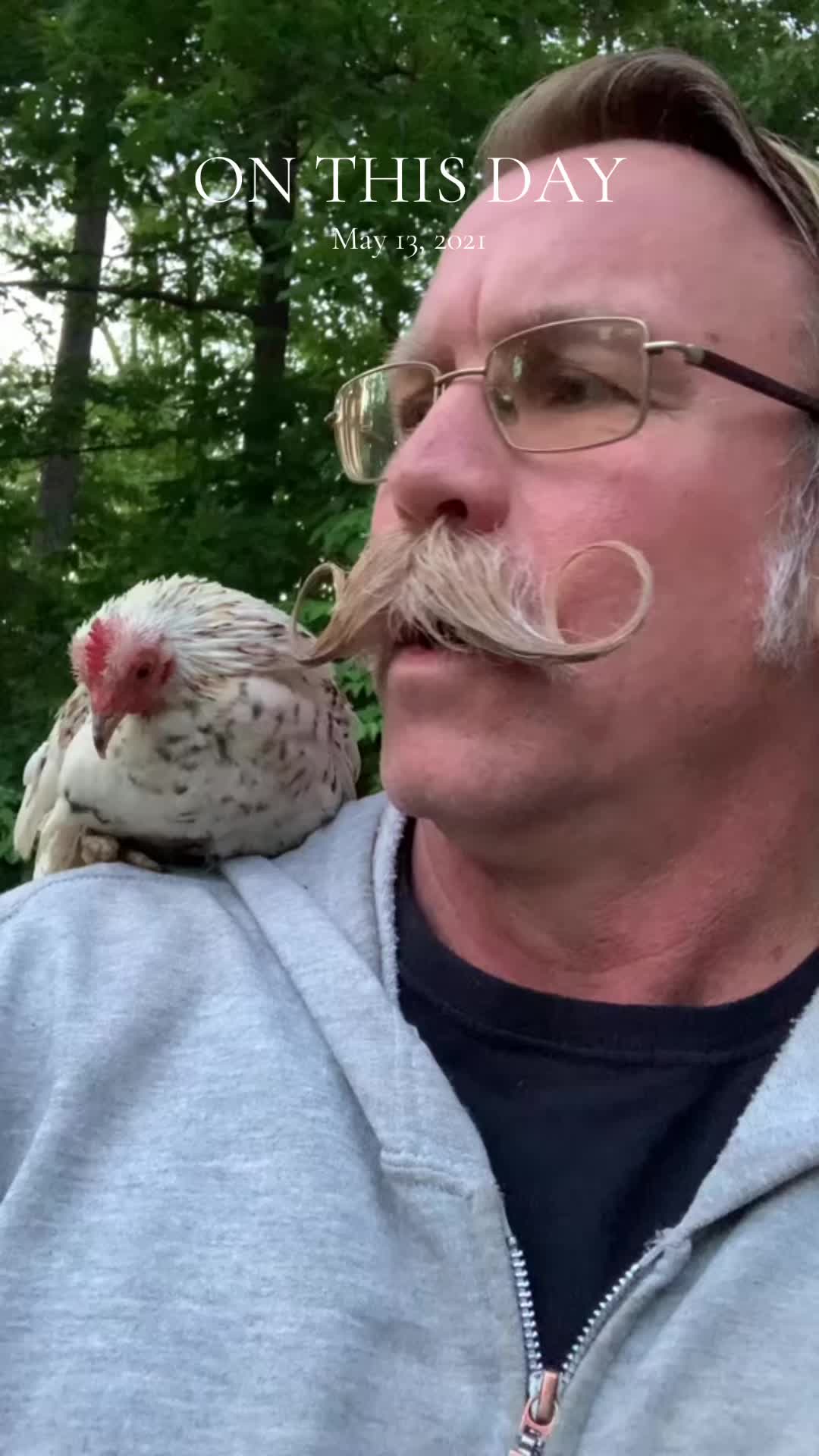 @Bobandelliothismustache