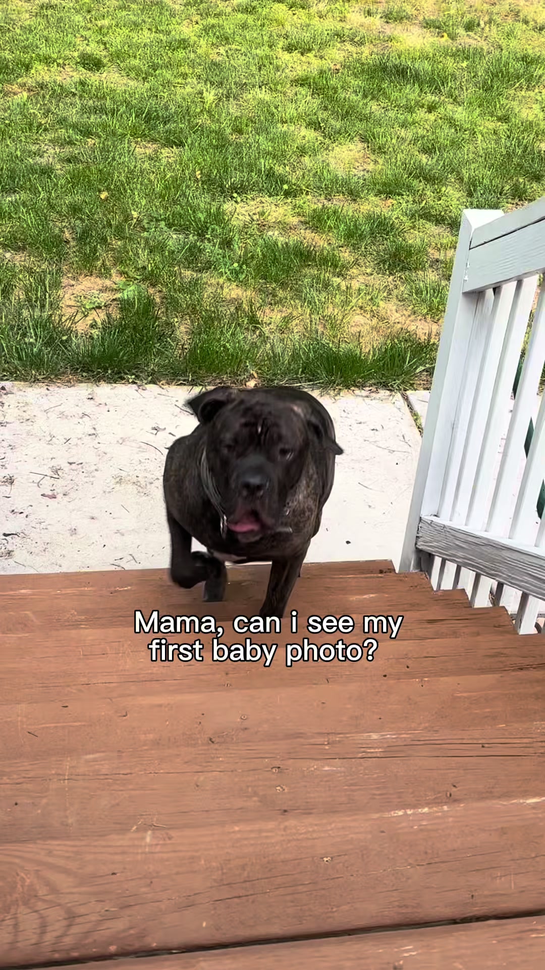 @🌸Momlifefurrealgirl🌸