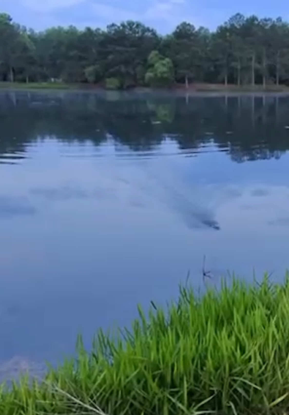 @Orange.Fishing