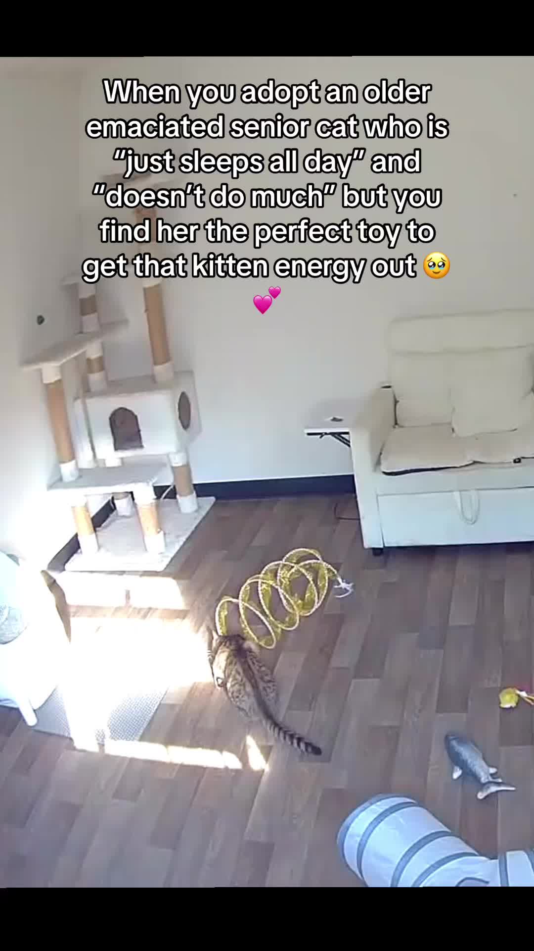 @karenannekoi