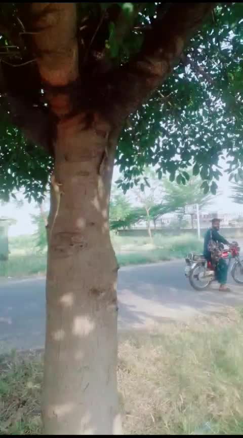 @ANSAR AAA