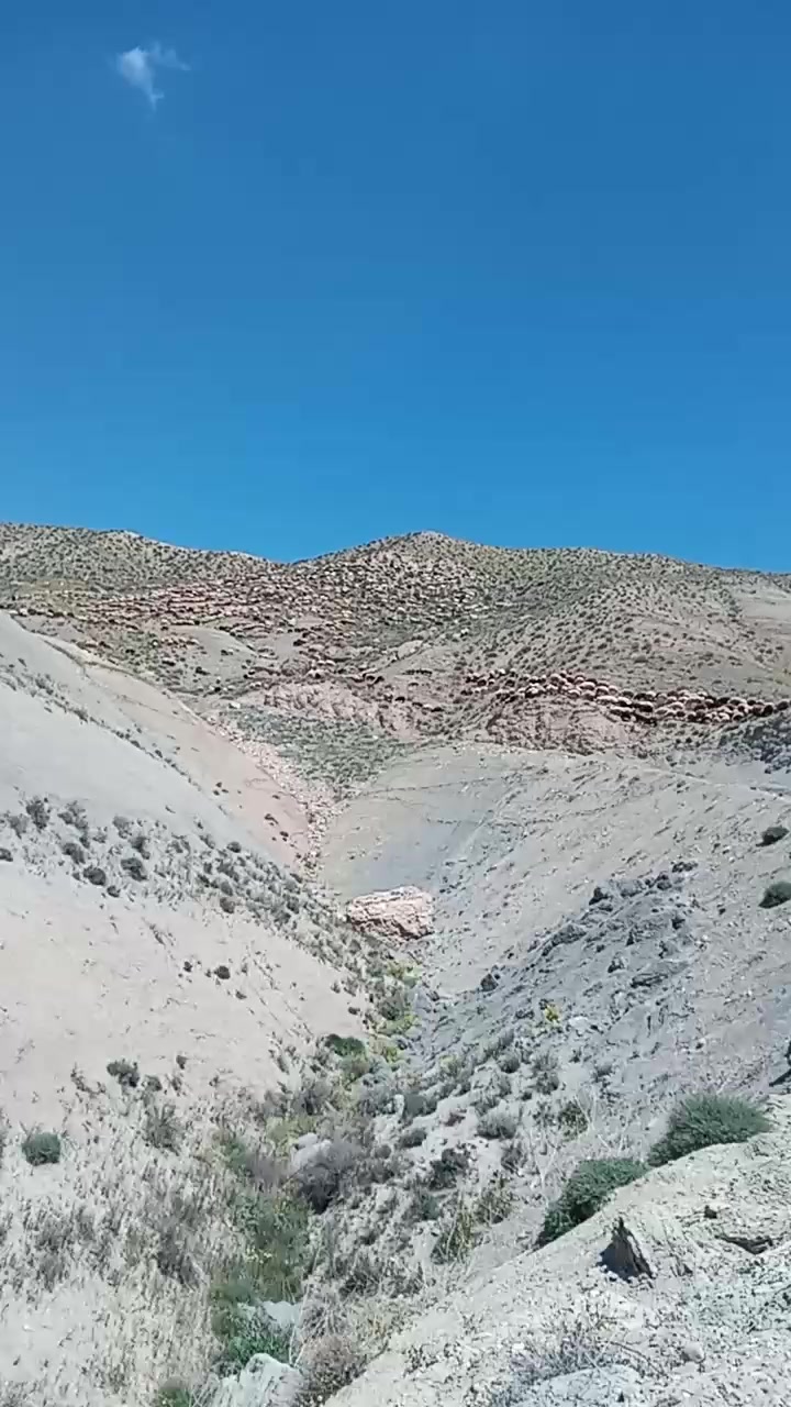 @Zahid cehrili