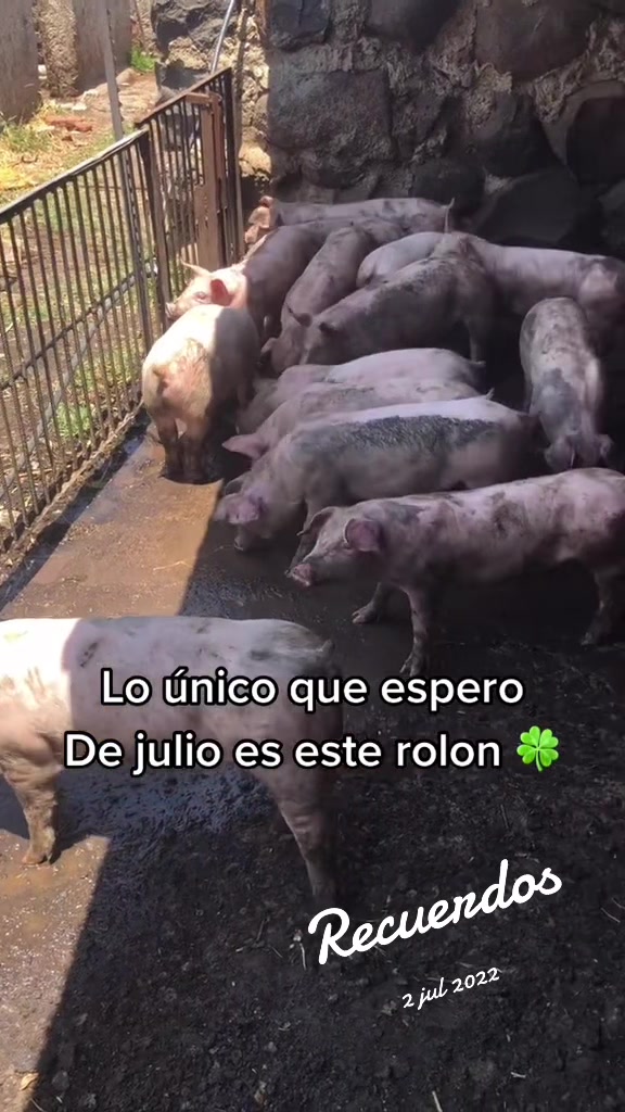@Diego__dlt