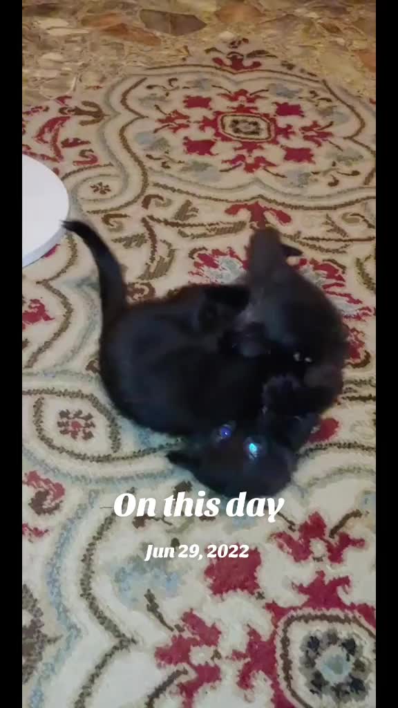 @CharlotteAnn