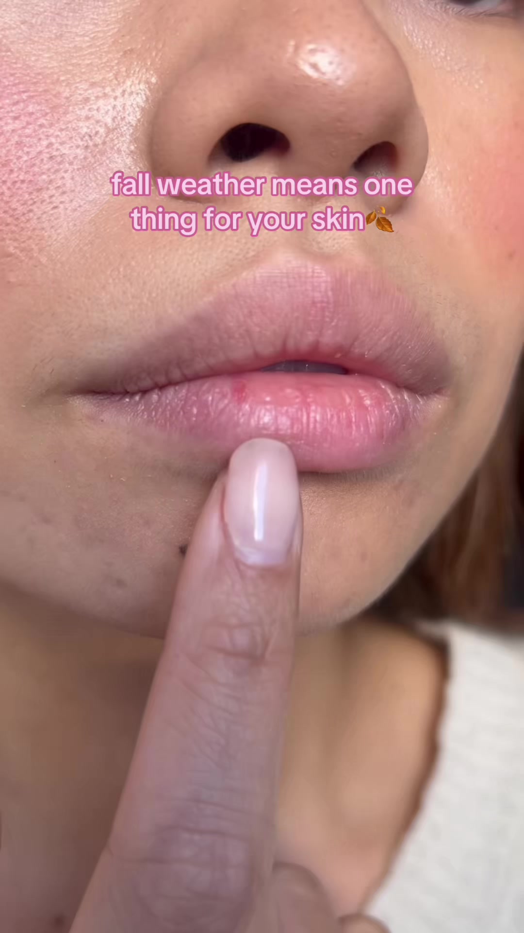 @Lanolips
