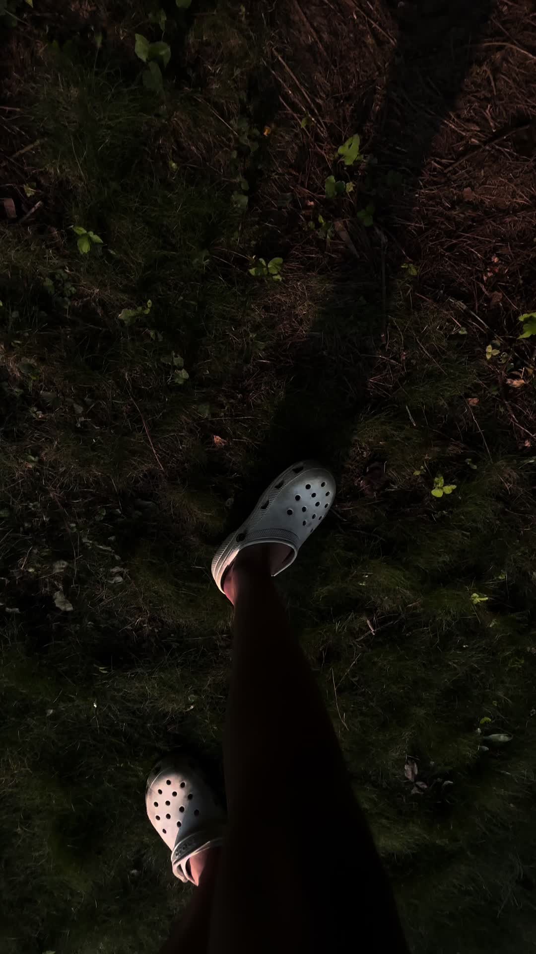 @renistuff