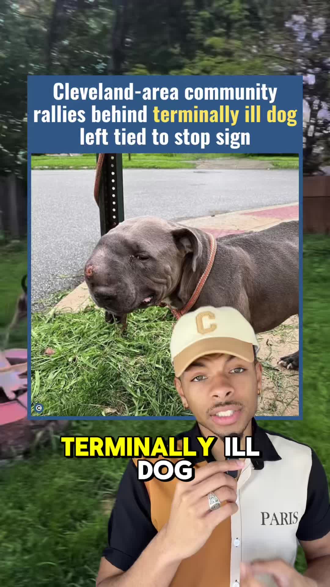 @cleveland.com