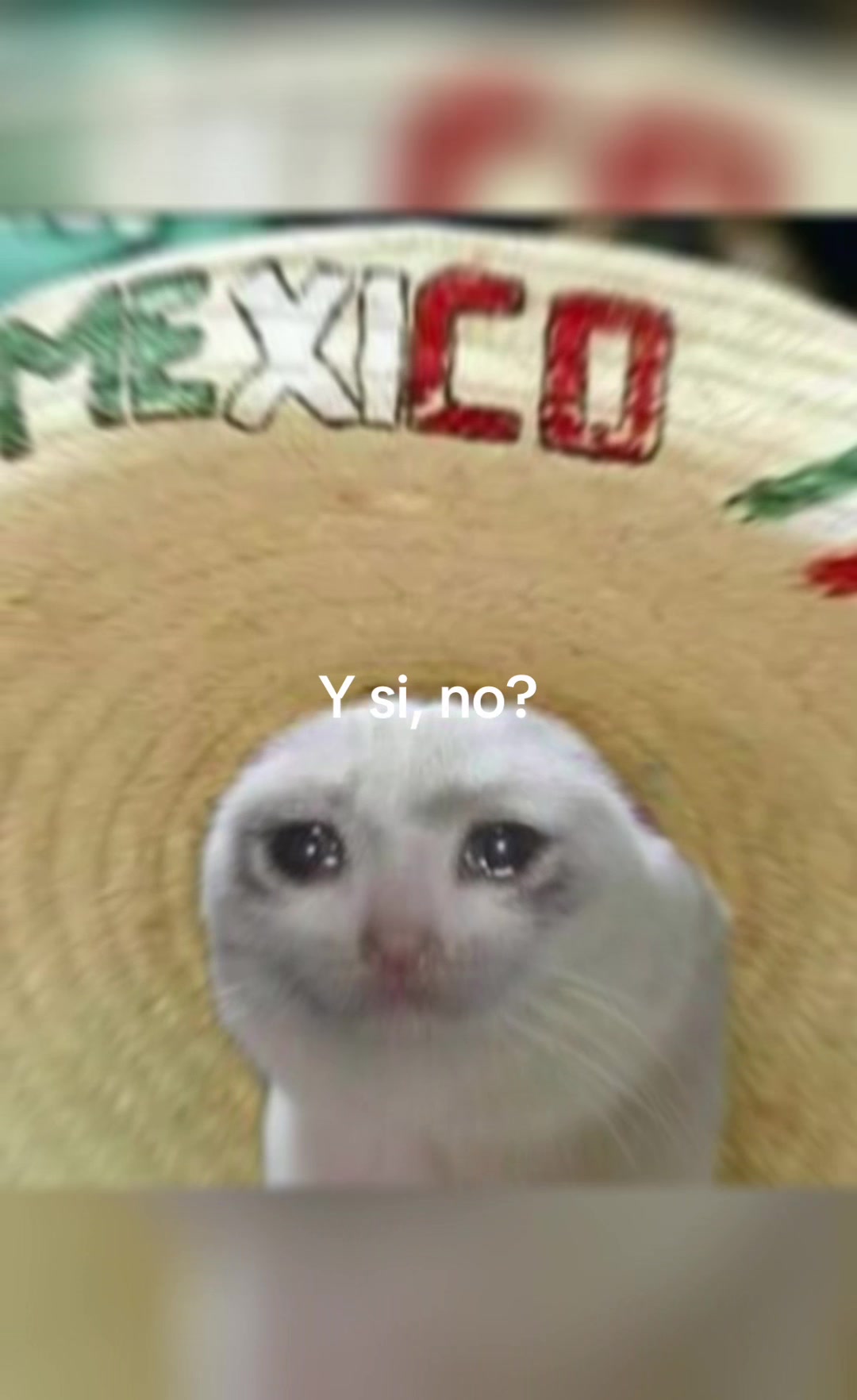 @Jude