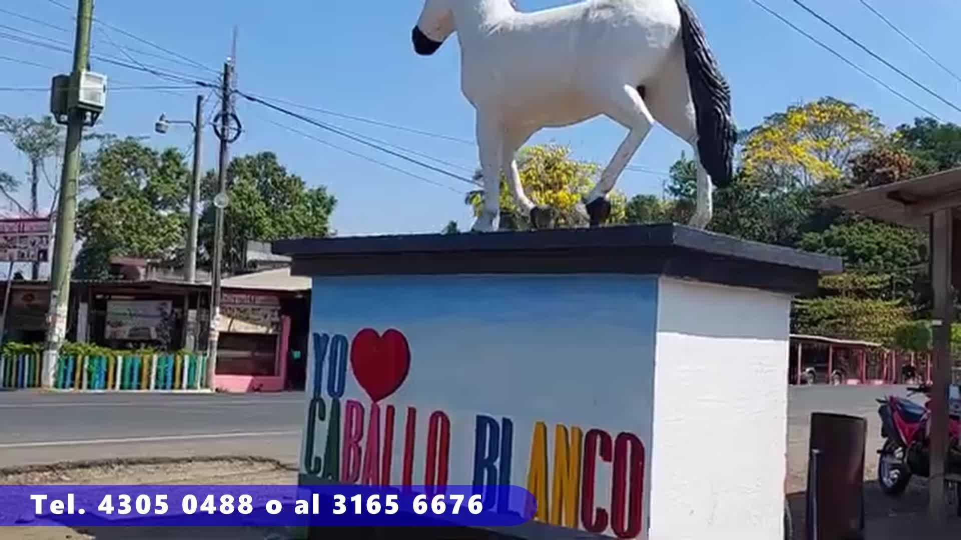 @PRODUCCIONES BUENOS AIRES