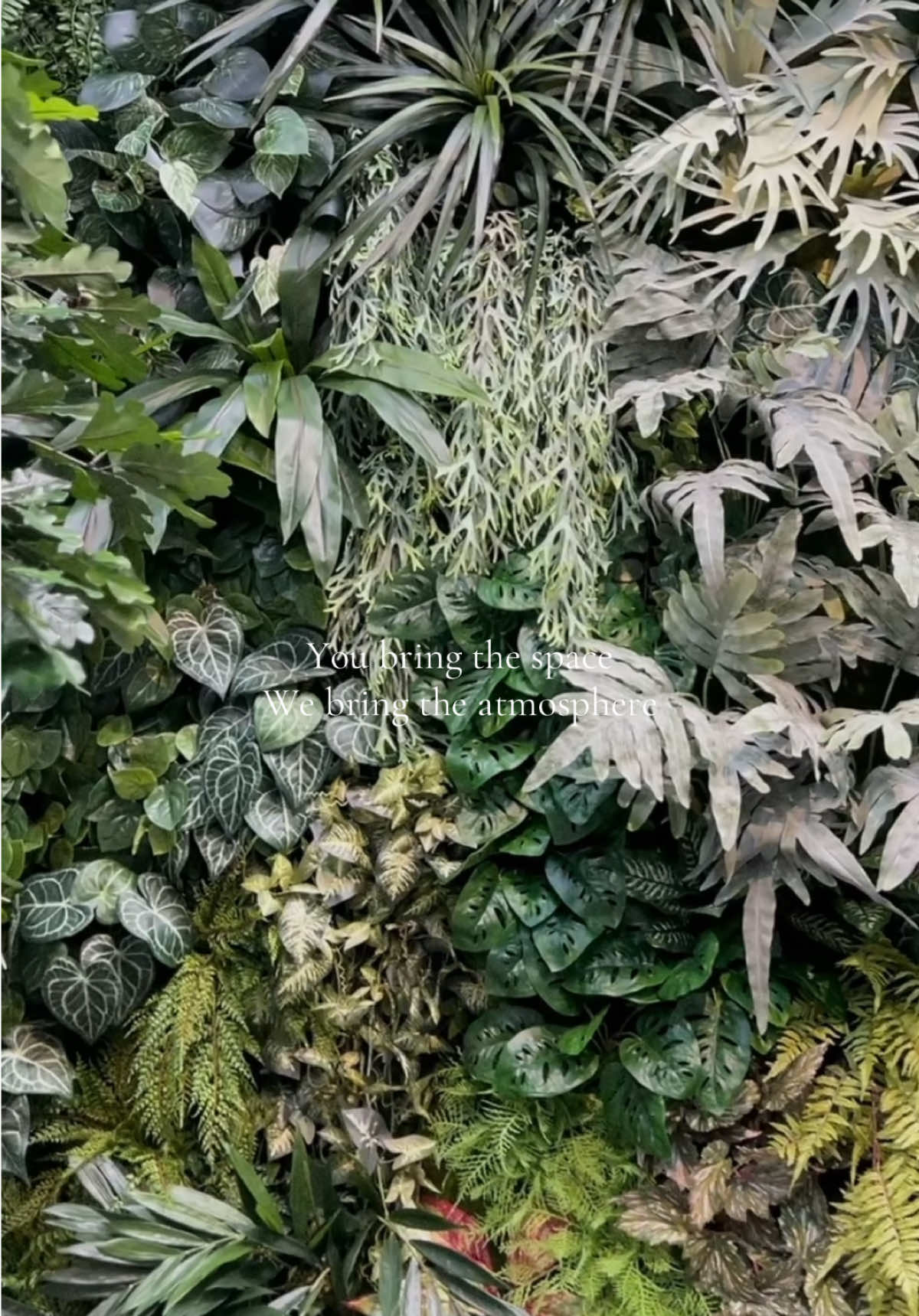 @Green4Ever
