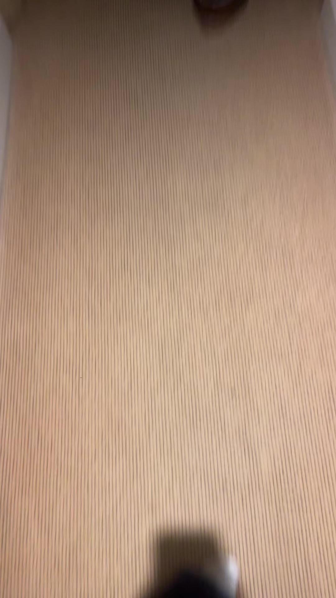 @nataliacarolla77