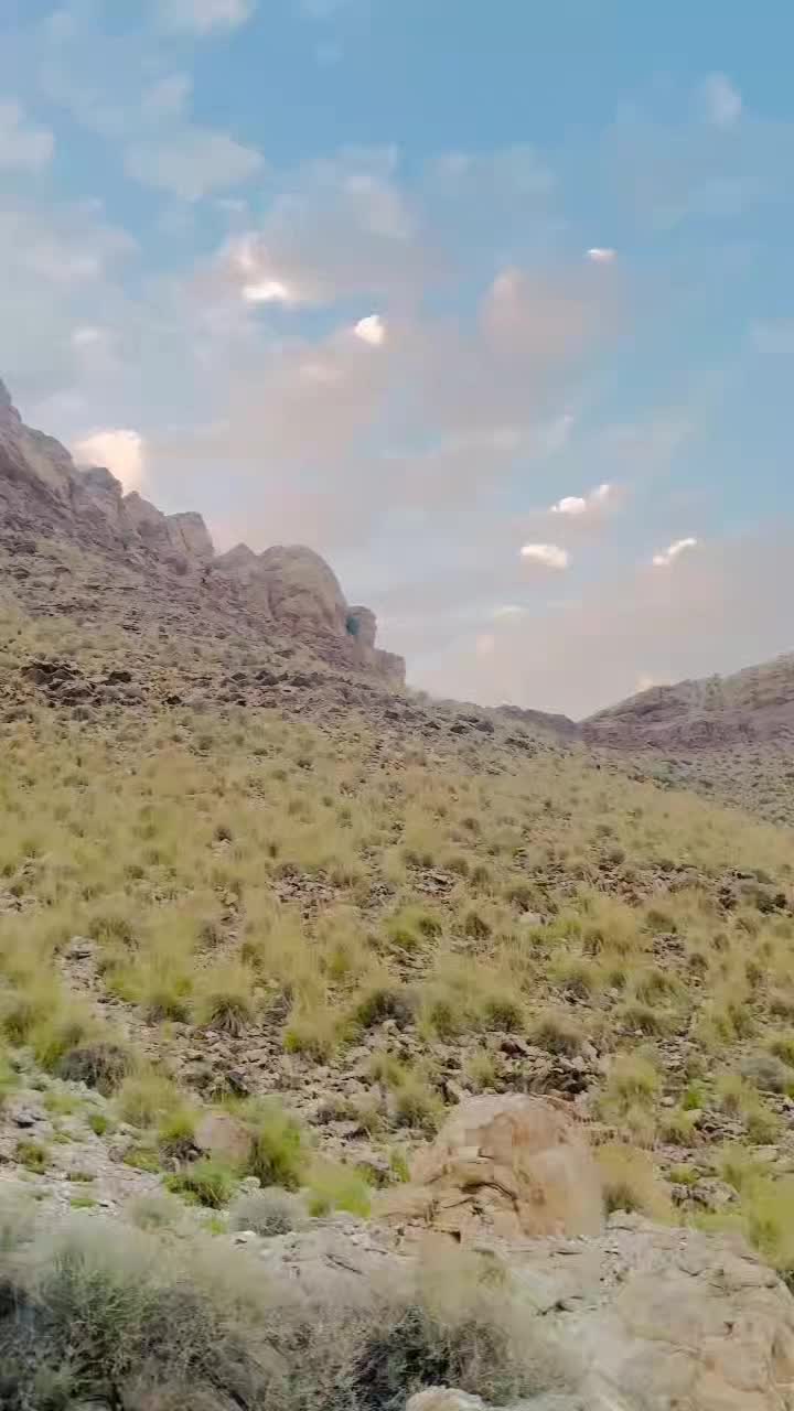 @anooo626