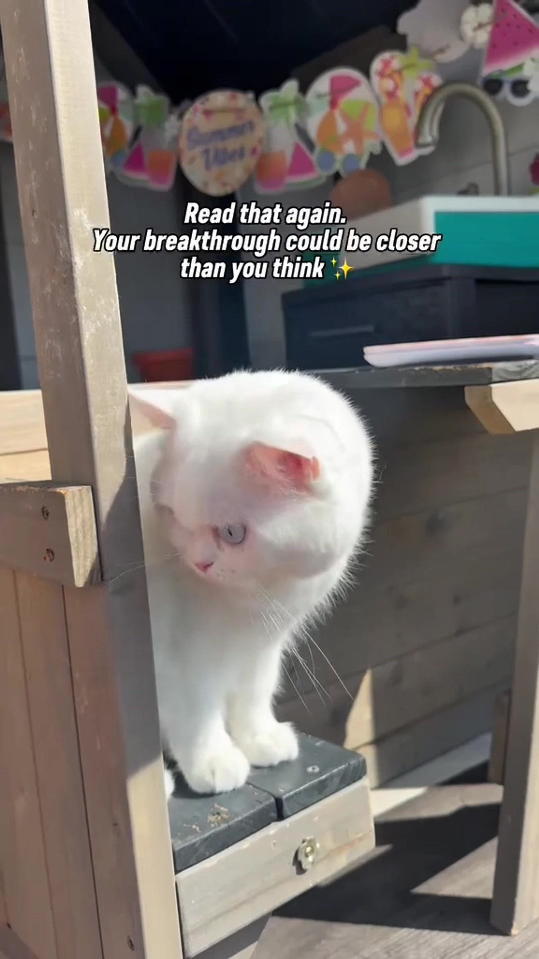 @EXE