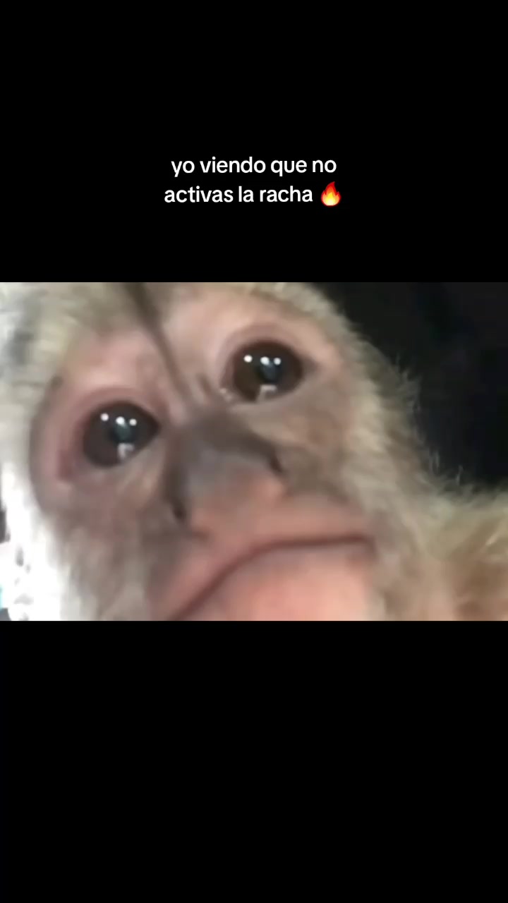 @RabPesito 🔥
