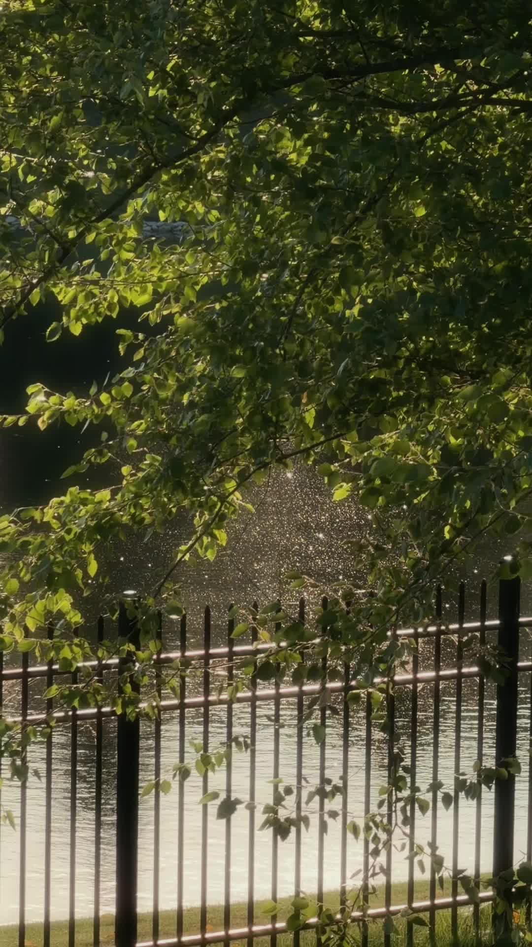@𓍼