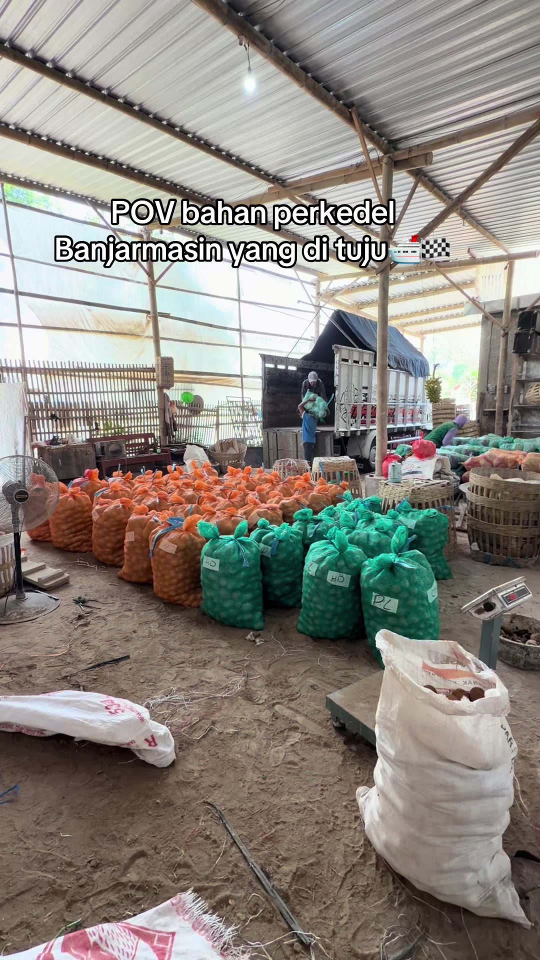 @MEGA TRANS SAYUR MALANG