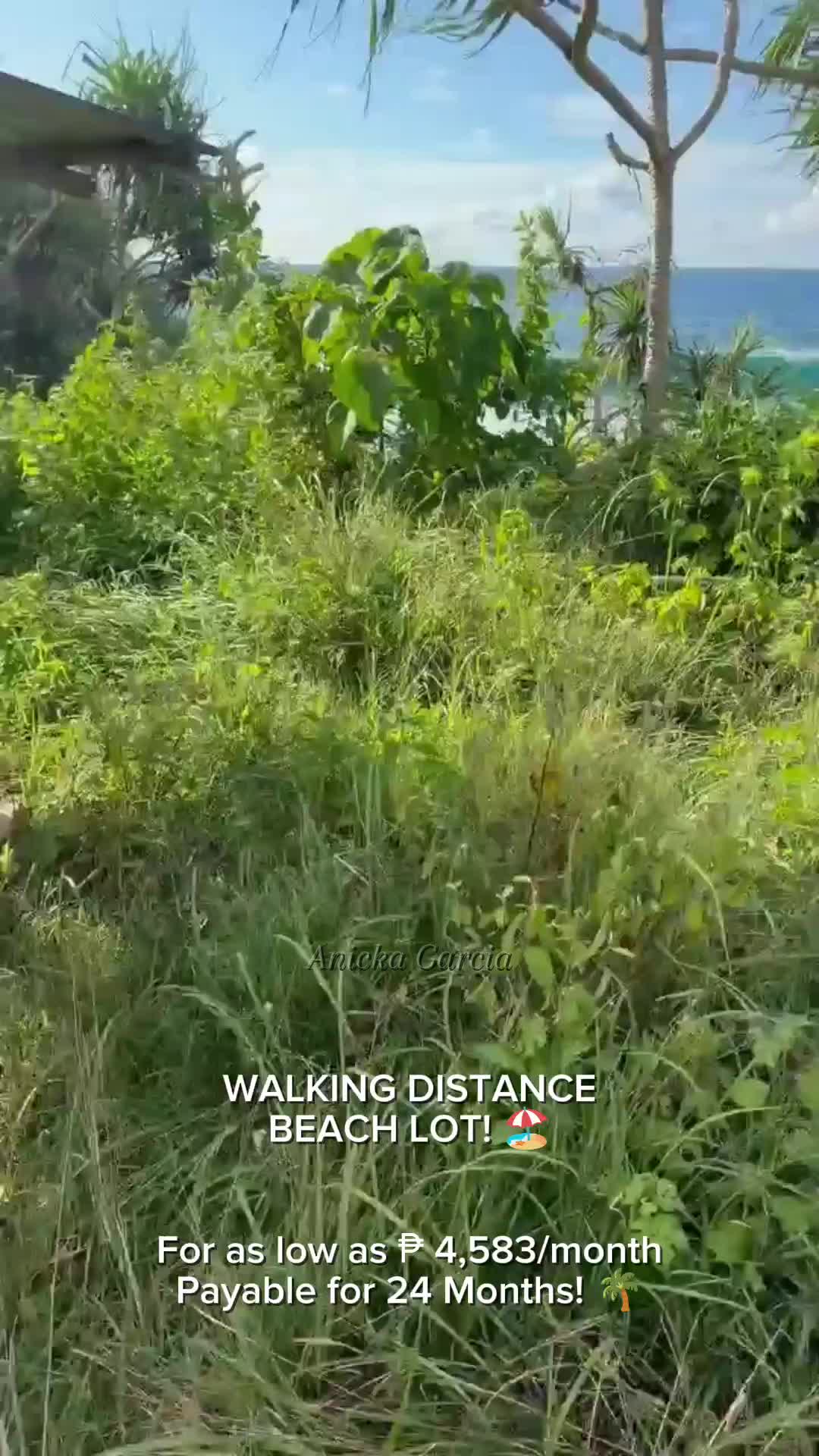 @anicka