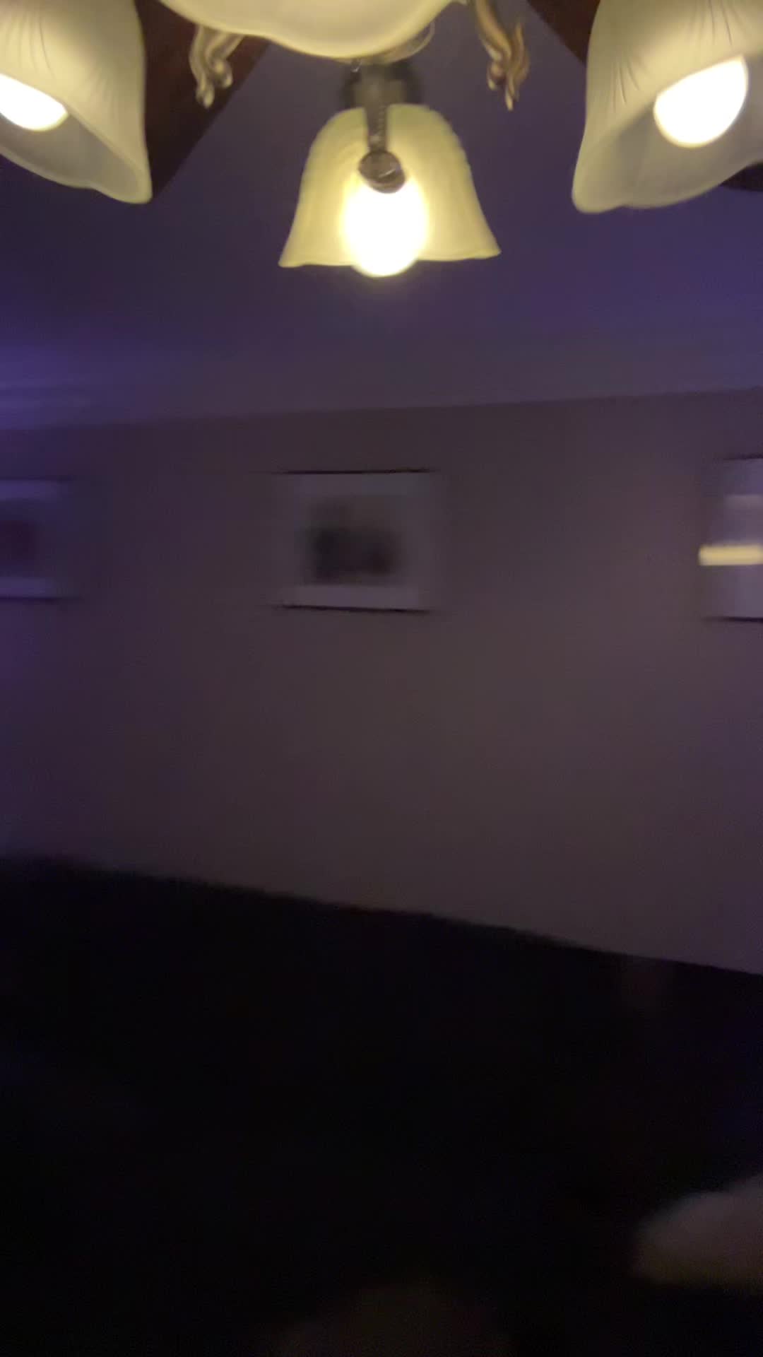 @CeilingfanCEO