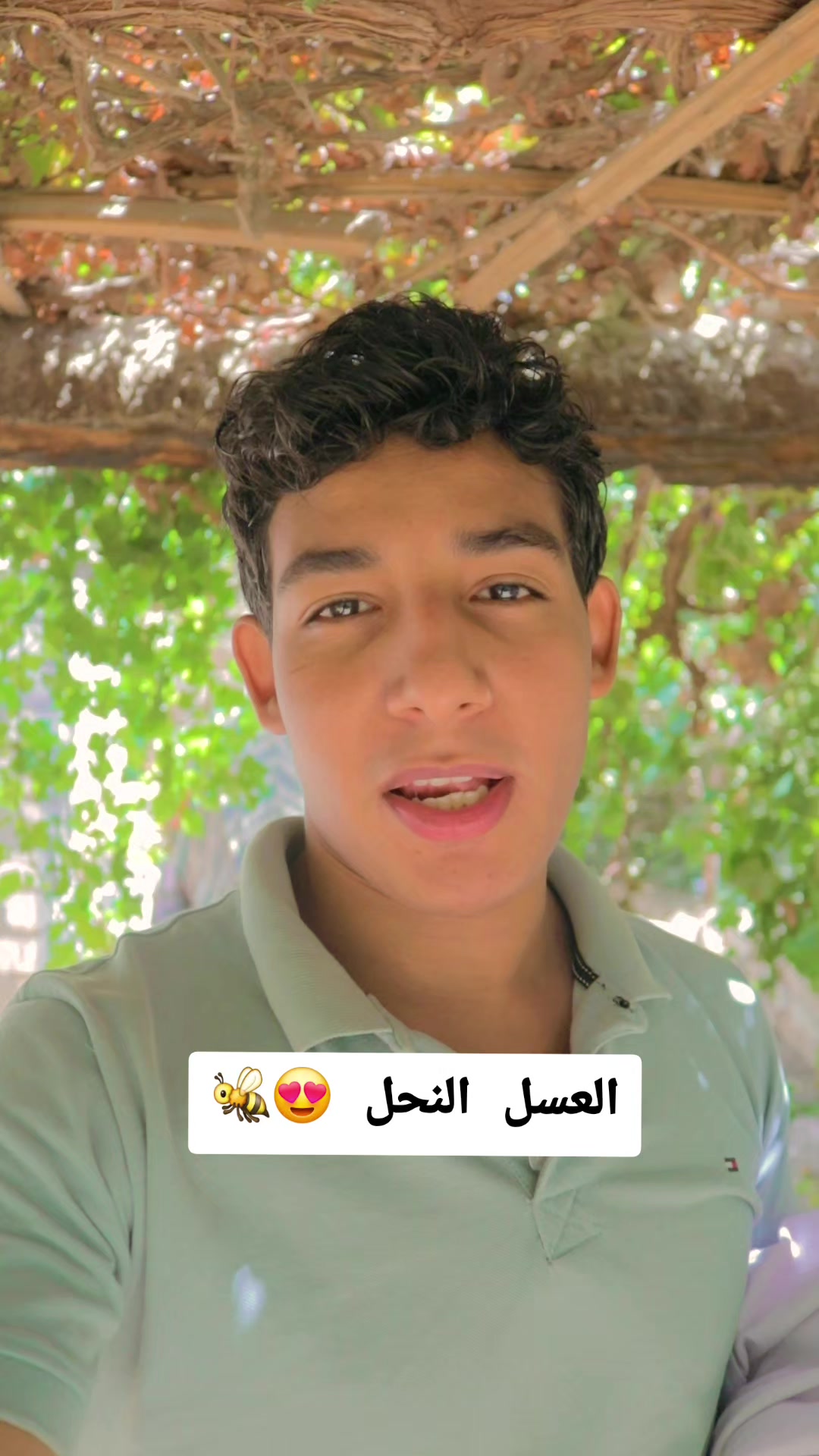 @بهاء الحساني 515🦅🇪🇬