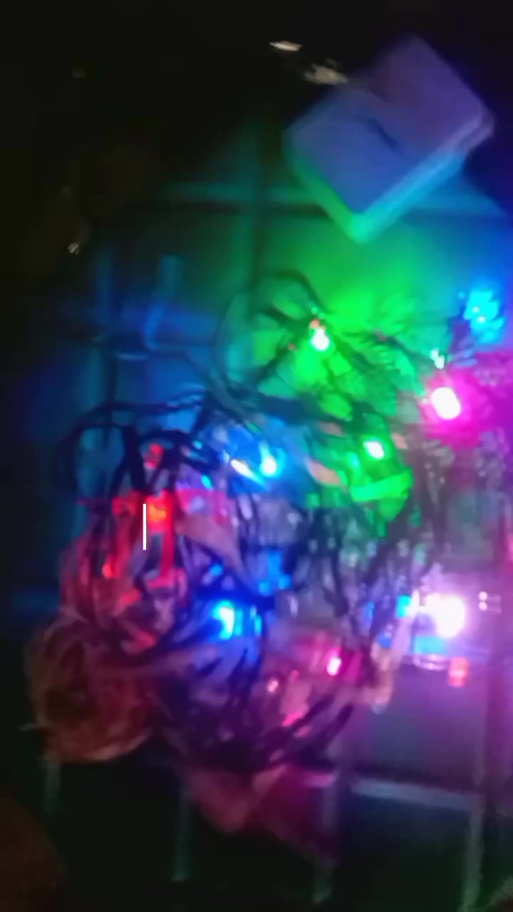 @Jelitaelectroshop