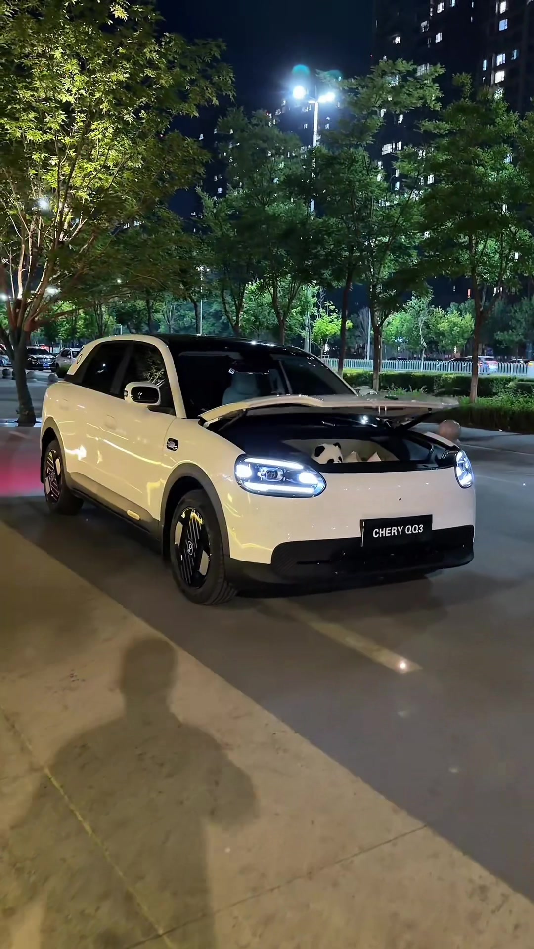 @China EV Reality