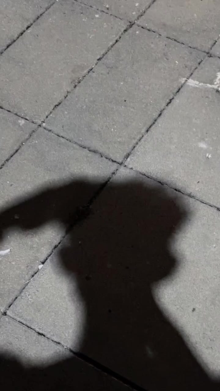 @veglek