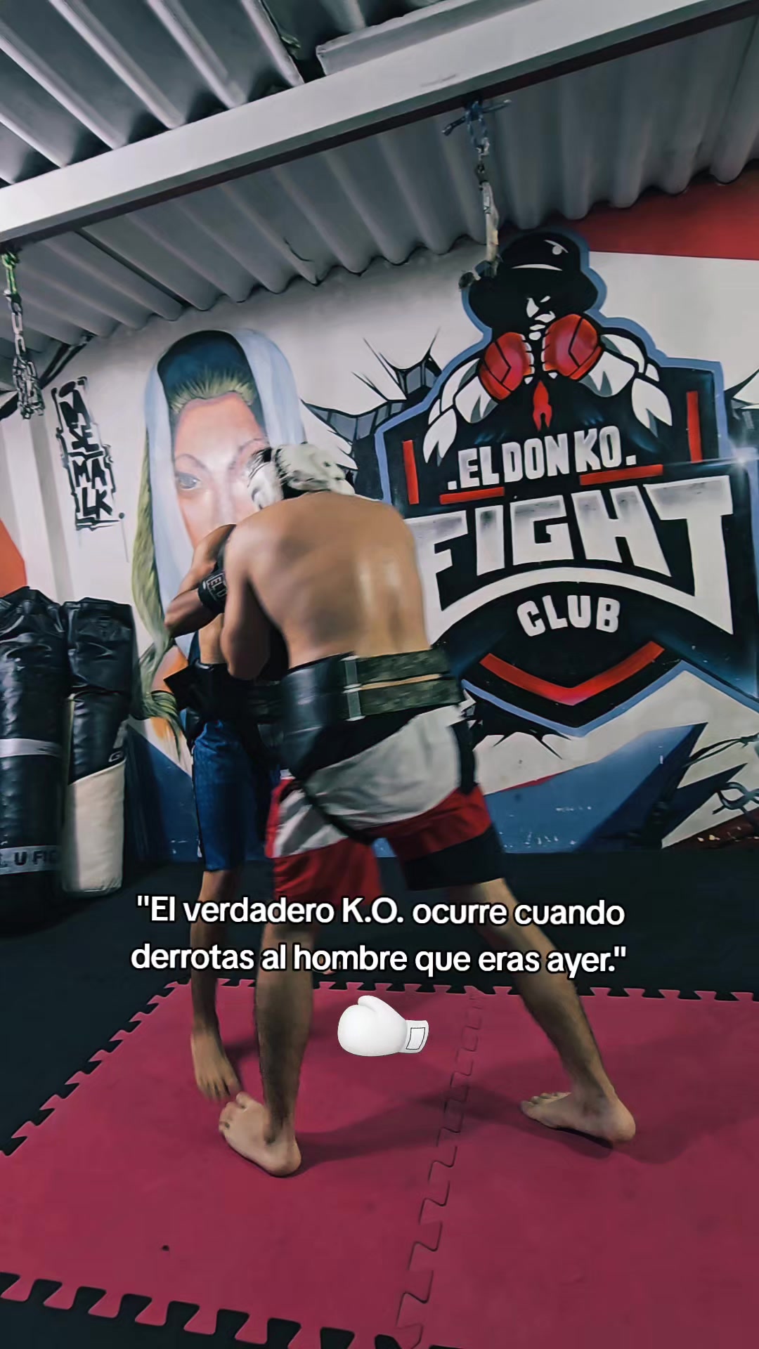 @EL DON K.O.🥊