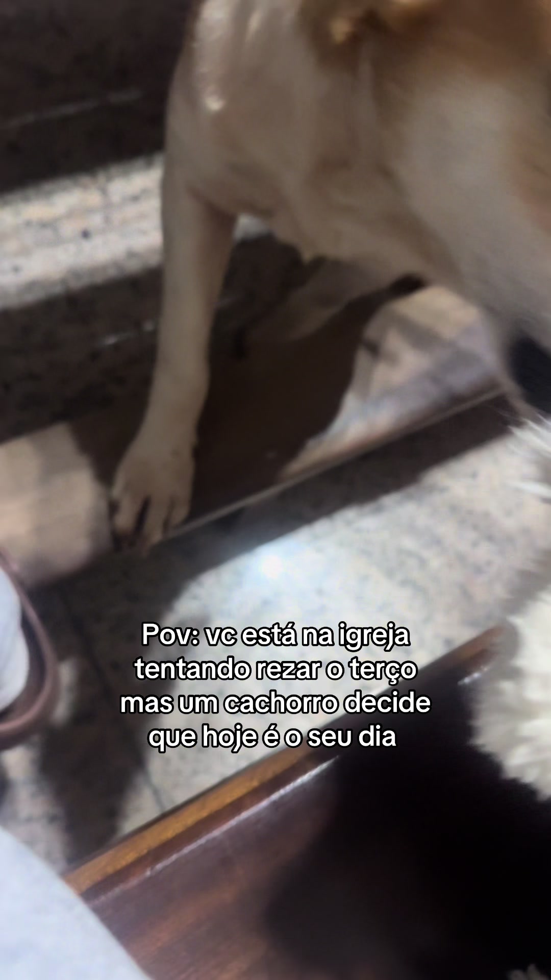 @Veri