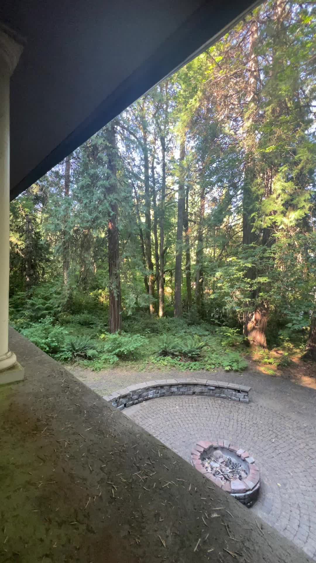 @little_miss_sunshine_pnw
