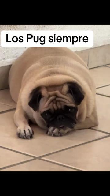 @sandra
