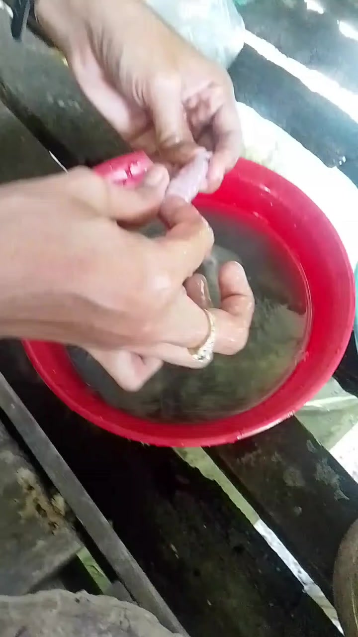 @Yee 1996🇹🇭